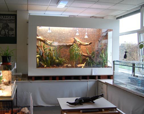 Reptilien-AG-Einweihung-01